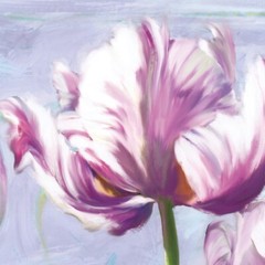 48W»x24H» LILAC TULIPS by ROBIN SADLER – VIOLET FLORAL CLOSEUP CHOICES of CANVAS