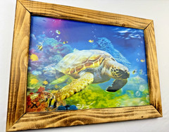 Framed Wall Art, 3D Ocean Dolphin and Sea Turtle 15.75 in X 11.75 in Wood Frame
