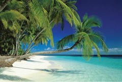 Maldives Beach 24×36 Poster White Sand Blue sky Tropical Island Decorative SEXY!