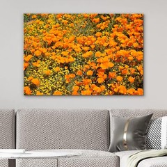 Wall26 Canvas Print Orange Tulip Flower Floral Field Landscape Art
