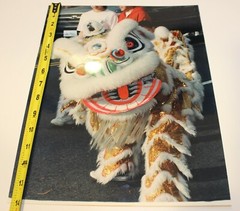 Photo 14″X 11″ Gloss Paper Lot ( 69) pcs Chinese GOLDEN DRAGON Parade Chinatown