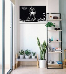 Muhammad Ali – Sports Poster (Ali Vs. Liston – May 25th, 1965) (Size: 36″ x 24″)