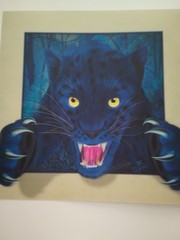 Black Panther 3D Lenticular Picture 15.5″ X 15.5″ (Pic 11.5″X 11.5″ Inset) New