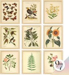 Vintage Botanical Wall Art Set 8×10 Inches for Home Room Decor