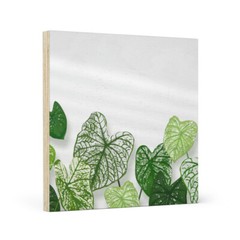 Wood Canvas