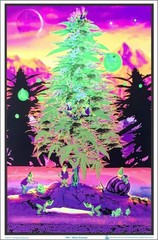 Scorpio Posters Weed Gnomes – Flocked – Blacklight Poster 35″L x 23″W, White