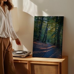 Wall Art Serene Forest Scene At Dusk, Featuring Tall, Majestic Trees With Thick
