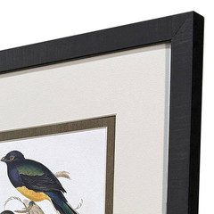 Gould 4 Piece Framed Canvas Transfer Animal Art Print 21 In. X 17 In.