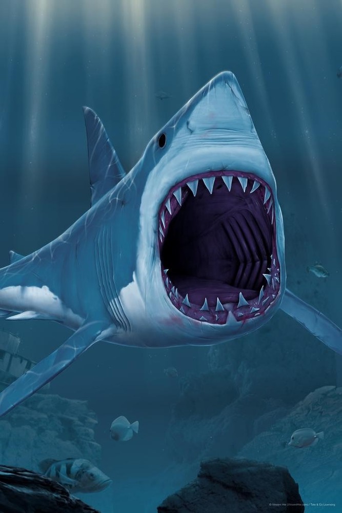 Great White Shark Bite Huge Jaws by Vincent Hie Art Print Poster 24×36