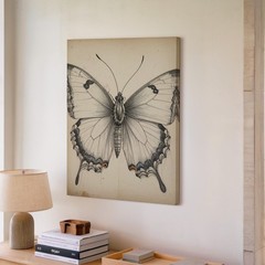 Wall Art Canvas a Detailed Monochrome Sketch of a Butterfly Drawn with Precise