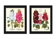 Hollyhock Flower Botanical Prints Wall Art Set of 2 Beautiful Antique Unframed