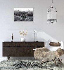 Highland Cow Wall Art Black and White Animal Wall Decor Canvas Cow Picture Hi…