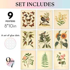 Vintage Botanical Wall Art Set 8×10 Inches for Home Room Decor