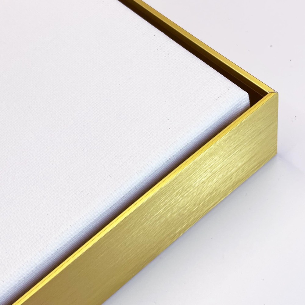 Floating Frame for 32×48 Canvas Paintings Prints 1.5Ã¢â‚¬Â Deep DIY Metal Floa