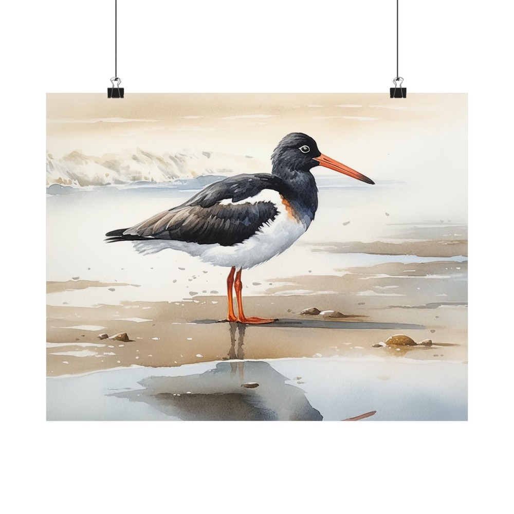 Oystercatcher Bird Art Print, Bird Painting, Bird Wall Art, Bird Watercolor