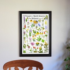 Midwest Wildflowers Poster – 42 Common Native Wildflowers of The Midwest Region
