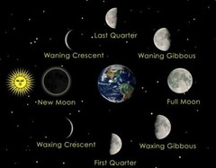 MOON PHASES CYCLE GLOSSY POSTER PICTURE PHOTO PRINT sun moon orbit lunar 4212
