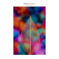 Transparent Autumn Leaf Colorful Poster WallArt Print pick size A4/A3/A2/90x60cm