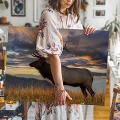 Majestic Elk Stands Proudly In A Golden Field, Its Impressive Antlers Wall Art
