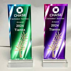 Custom Acrylic Trophy – Add Logo, Employee Recognition Award, Business Gift Plaq