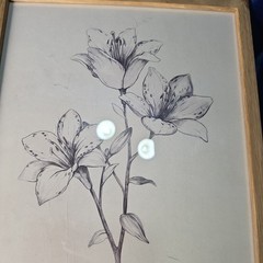 Haus and Hues Grey Floral Wall Art Natural Wood frame botanical prints Set Of 4