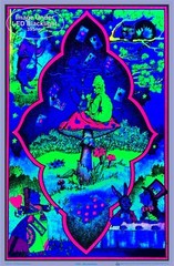 Wonderland Blacklight Poster 23 x 35