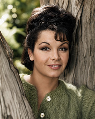 TV & Movie Star Annette Funicello Vintage Classic Photo Poster Picture