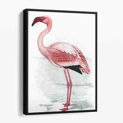 Pink Flamingo Vintage Birds Animals Paintings Canvas Wall Art Print