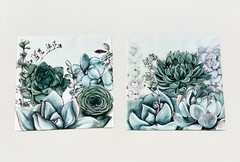 Succulent Botanical Canvas Wall Art Set 2 Green Plant Prints 16×16 Gallery Wrap