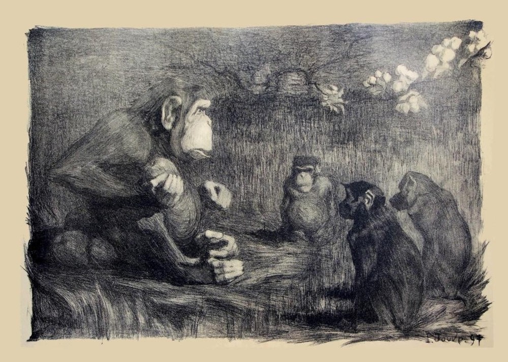 The Judgment of Paris (Monkeys) by Paul Jouve – Vintage French Animalier Print