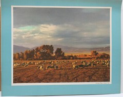 VINTAGE 1960’s STANDARD OIL CO OF CALIFORNIA SEE YOUR WEST COLOR PRINTS 13 pcs