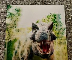 Lg T-REX 3D Lenticular Poster 14-1/4″x20-1/8″x1/4″ Very Cool!