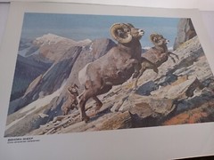 Vintage…Lot 3 .Original ..Gallery «Kuhn» Animal Art Prints Office..Cabin..Farm