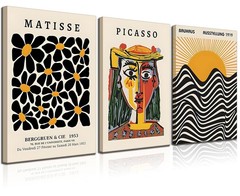 3 Pack Framed Canvas Prints Gallery Wall Set Picasso Matisse Bauhaus Abstract