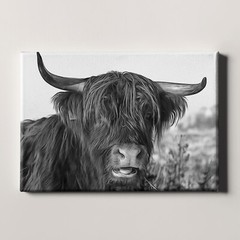 Highland Cow Scottish Cattle and Yaks Farm Animals Canvas Wall Art Print
