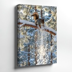 Wall Art Winter Squirrel in Snowy Pine Tree Forest Nature Wildlife Print Decor