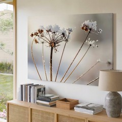Frosted Wildflower Canvas Minimalist Winter Nature Close-Up When Words Fail,
