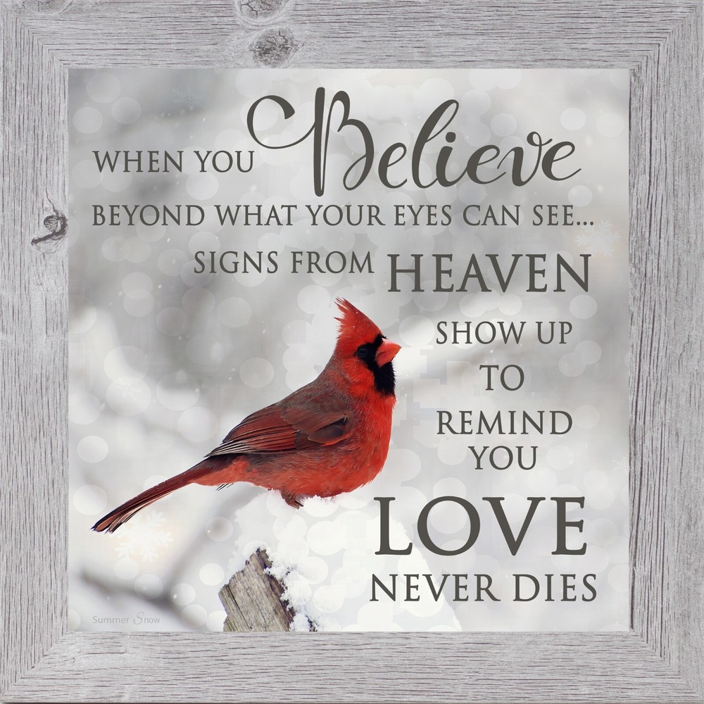 “When You Believe” – Framed Cardinal Sympathy Art by Summer Snow