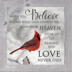 “When You Believe” – Framed Cardinal Sympathy Art by Summer Snow