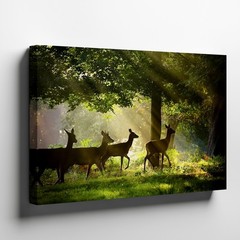 Woodland Deer Silhouette Canvas Wall Art Nature Wildlife Scene Morning Light