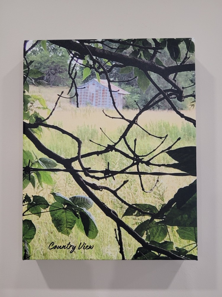 11×14 Canvas Photo Print – Country View