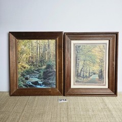 Vintage Framed Forest Prints Cottage Country Wall Art Rustic Farmhouse Decor