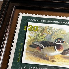 Framed Wood Duck Migratory Bird Hunting Conservation Stamp Print 2007-2008 Art