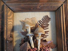 McGee nature folk art Mushrooms 3-D wall decor picture 12 1/4″ x 14″