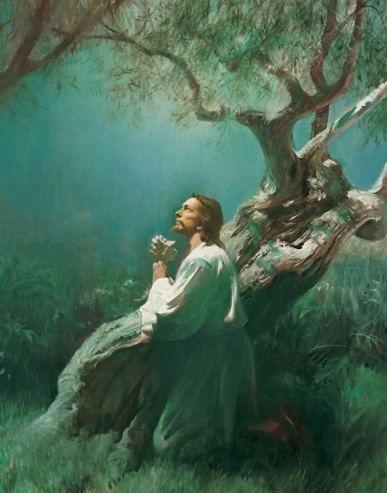 JESUS IN GETHSEMANE POSTER 13 X 19 INCH Wall Art!