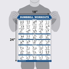 Palace Learning 4 Pack – Dumbbell Workout Posters Volume 18″ x 24″, LAMINATED