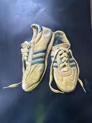 Rare 1977 Graphic Environs 3D Poster Worn Adidas Style Retro Sneakers Series 101