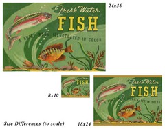 1939 Fresh Water FISH Guide POSTER! (up to 24 x 36) – Fishing – Trout – Vintage