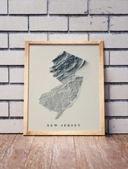 New Jersey Map, New Jersey 2D Relief Map, New Jersey Vintage Map – 2D Flat Print