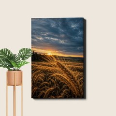Golden wheat fields at sunset Poster Print close up tall slender stalks